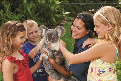 Kuranda Koala Gardens General Entry Ticket - Attractions Sydney 0