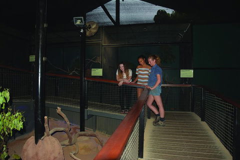 Kuranda Koala Gardens General Entry Ticket - Attractions Sydney 2