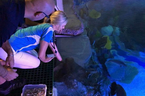 Cairns Aquarium Marine Life Encounter Ticket With 2-Course Lunch - Attractions Sydney 2