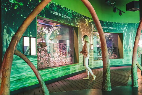 Cairns Aquarium Marine Life Encounter Ticket With 2-Course Lunch - Attractions Sydney 3