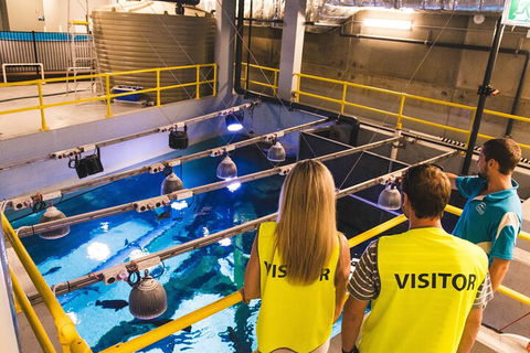 Cairns Aquarium Marine Life Encounter Ticket With 2-Course Lunch - Attractions Sydney 5