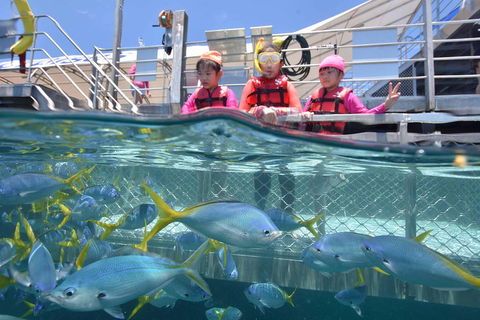Outer Reef Pontoon Experience From Cairns - Attractions Sydney 0