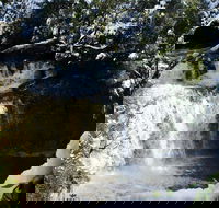 Cradle Mountain Day Tour from Launceston Including Lunch - Attractions Sydney