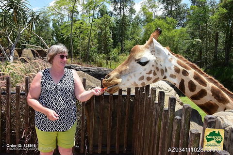 Small-Group Australia Zoo Day Trip From Brisbane - Attractions Sydney 2