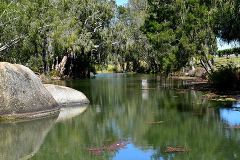 Private Daintree And Cape Tribulation Tour From Port Douglas - Attractions Sydney 3