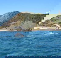 Kayaking with Dolphins in Byron Bay Guided Tour - Attractions Sydney