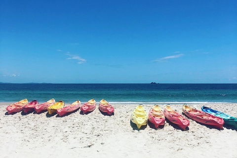 Kayaking With Dolphins In Byron Bay Guided Tour - Attractions Sydney 1