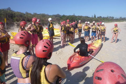 Kayaking With Dolphins In Byron Bay Guided Tour - Attractions Sydney 2