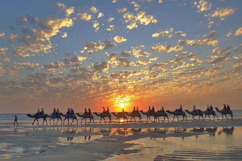 Broome City Sightseeing Tour With Optional Camel Ride - Attractions Sydney 1