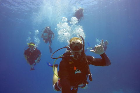 12-Day Great Barrier Reef Marine Conservation Program From Cairns - Attractions Sydney 0