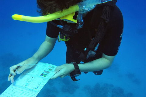 12-Day Great Barrier Reef Marine Conservation Program From Cairns - Attractions Sydney 2