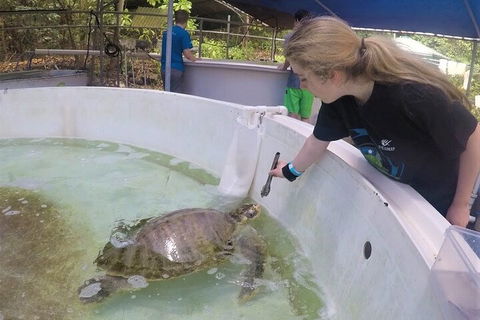 12-Day Great Barrier Reef Marine Conservation Program From Cairns - Attractions Sydney 4