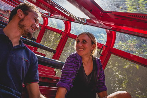 Blue Mountains Hop-on Hop-off Tour With Optional Scenic World Rides - Attractions Sydney 5