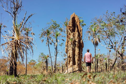 Litchfield National Park Waterfalls And Wildlife Tour From Darwin - Attractions Sydney 4
