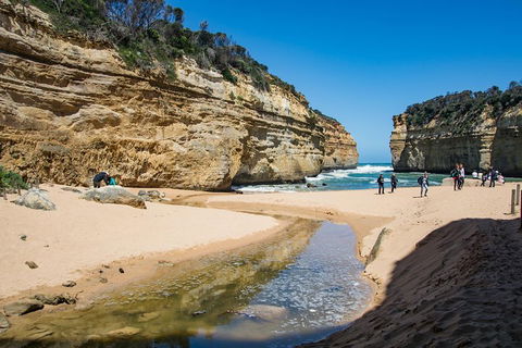 Great Ocean Road And 12 Apostles Day Trip From Melbourne - Attractions Sydney 2