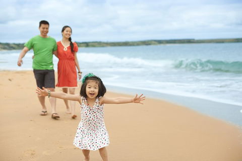 Phillip Island Penguin Parade Day Trip With Koala Conservation Reserve Visit - Attractions Sydney 5