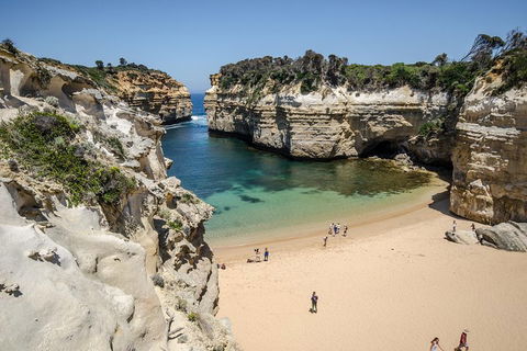 Great Ocean Road Reverse Itinerary With 12 Apostles From Melbourne - Attractions Sydney 5