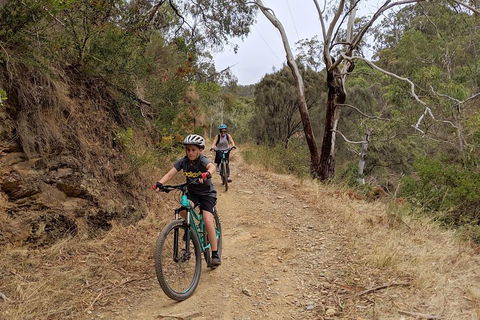 Mount Lofty Descent Bike Tour From Adelaide - Attractions Sydney 0