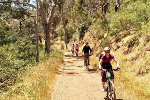 Mount Lofty Descent Bike Tour From Adelaide - Attractions Sydney 3