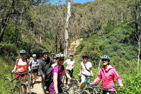 Mount Lofty Descent Bike Tour From Adelaide - Attractions Sydney 5
