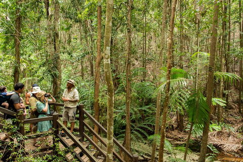Fraser Explorer K'gari 2-Day Tour - Attractions Sydney 5