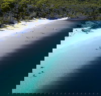 All-Inclusive Fraser Island Day Tour - Attractions Sydney