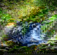 Day Tour in Mt. Field Mt. Wellington Bonorong Wildlife Sanctuary and Richmond - Attractions Sydney