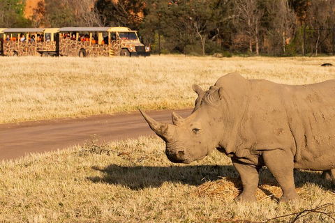 Sunset Safari At Werribee Open Range Zoo - Attractions Sydney 1