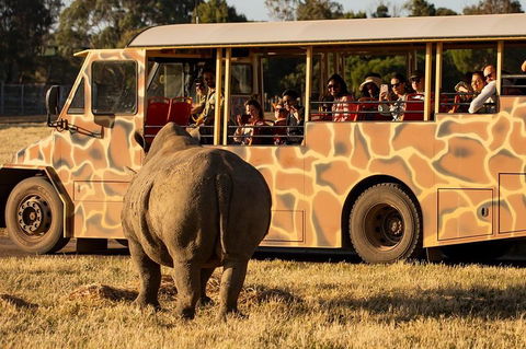 Sunset Safari At Werribee Open Range Zoo - Attractions Sydney 5