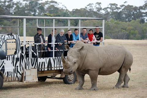 Off-Road Safari At Werribee Open Range Zoo - Attractions Sydney 0