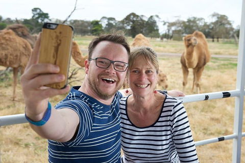 Off-Road Safari At Werribee Open Range Zoo - Attractions Sydney 1