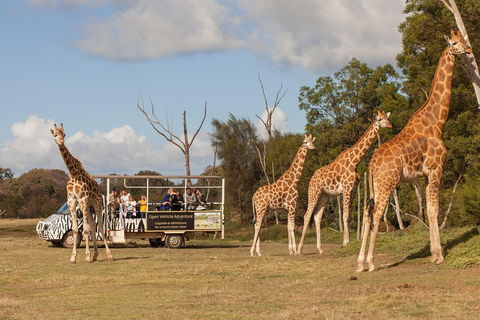Off-Road Safari At Werribee Open Range Zoo - Attractions Sydney 3