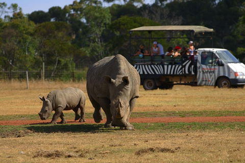 Off-Road Safari At Werribee Open Range Zoo - Attractions Sydney 5