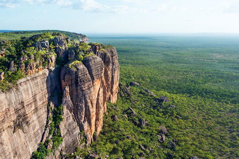 Jabiru 60 Minute Scenic Flight - Attractions Sydney 5