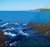 Julian Rocks Byron Bay Cruise - Attractions Sydney