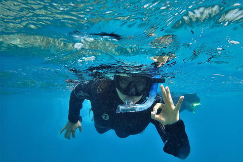 3 Day Whitsundays Sailing And Diving Adventure: Kiana - Attractions Sydney 0