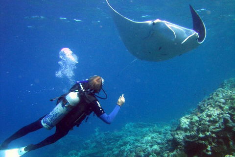 3 Day Whitsundays Sailing And Diving Adventure: Kiana - Attractions Sydney 3