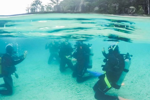 3 Day Whitsundays Sailing And Diving Adventure: Kiana - Attractions Sydney 4