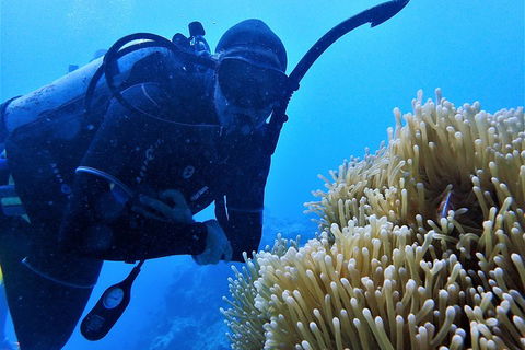 3 Day Whitsundays Sailing And Diving Adventure: Kiana - Attractions Sydney 5