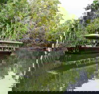 Hartley's Crocodile Adventures Breakfast with the Koalas - Attractions Sydney