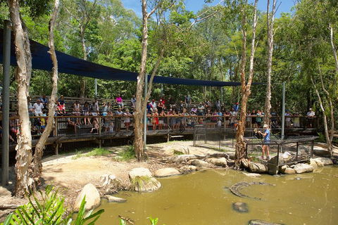 Hartley's Crocodile Adventures Breakfast With The Koalas - Attractions Sydney 1