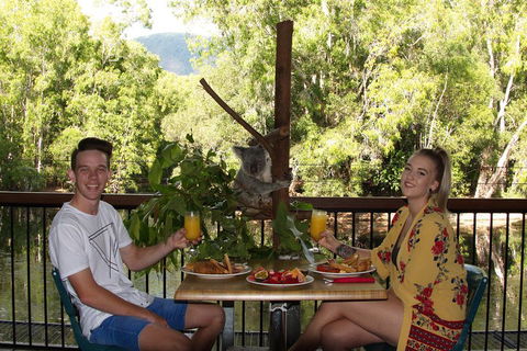 Hartley's Crocodile Adventures Breakfast With The Koalas - Attractions Sydney 5