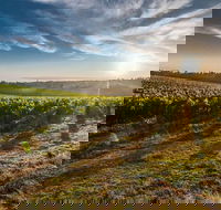 Perth to Margaret River Wine Tour - 2 Day Premium Boutique Wine Tour Experience - Attractions Sydney