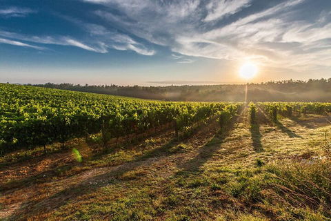 Perth To Margaret River Wine Tour - 2 Day Premium Boutique Wine Tour Experience - Attractions Sydney 0