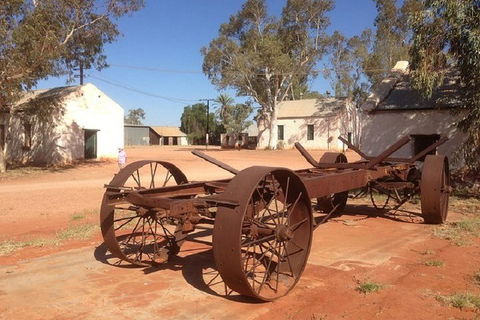 Palm Valley 4WD Day Tour - Attractions Sydney 0