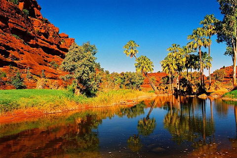 Palm Valley 4WD Day Tour - Attractions Sydney 2