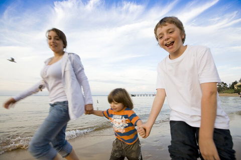 Phillip Island Penguin And Koala Highlights Day-Trip From Melbourne - Attractions Sydney 0