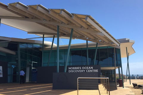 Phillip Island Penguin And Koala Highlights Day-Trip From Melbourne - Attractions Sydney 1