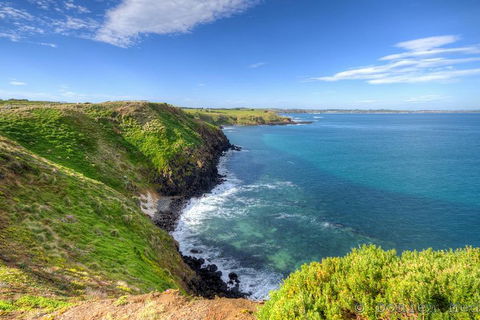 Phillip Island Penguin And Koala Highlights Day-Trip From Melbourne - Attractions Sydney 5