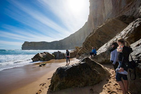 2-Day Melbourne To Adelaide Tour: Great Ocean Road And Grampians One Way Trip - Attractions Sydney 1